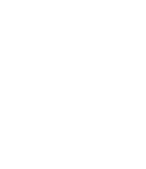 Picto palm nosun
